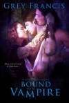 Bound to a Vampire - Front Cover